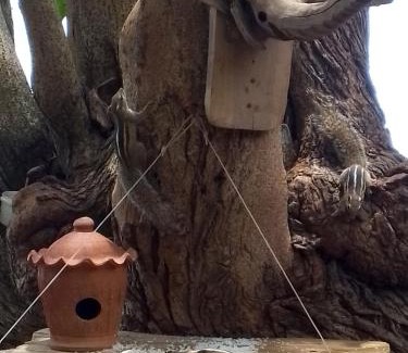 Tangalle Lit Et Petit-Déjeuner | Happybeach Sea view Cabin