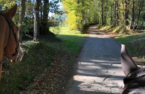Bellou-le-Trichard Appartement | Haras du sablon au cœur du parc régional du perche