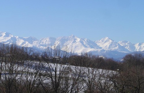 Lasserre Maison | Haras Picard du Sant le Barail
