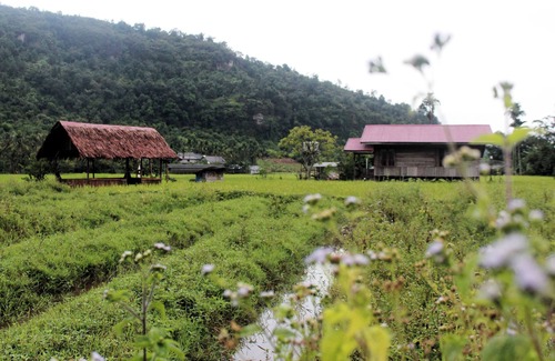 Harau Villa | Vallée de Harau - Entra Lodge