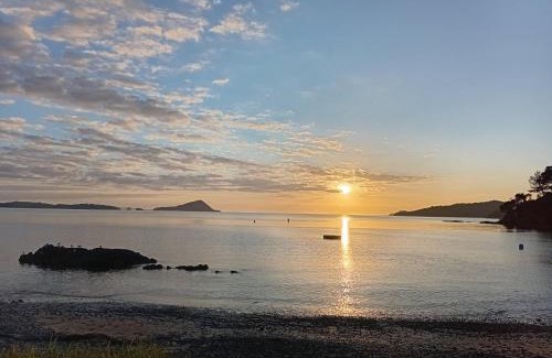 Coromandel Maison | Harbour Haven