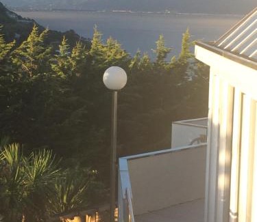 Wellington Cabine | Harbour Lodge Wellington