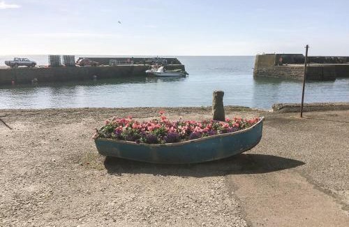 Johnshaven Maison | Harbour View