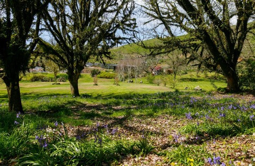 Kinloch Cabine | Hare's Rest