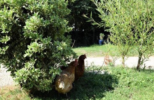Trowbridge Maison | Hares Barn