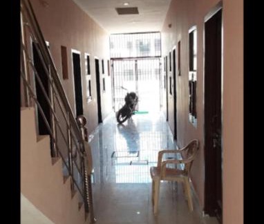 Kharar Hôtel | Harjas homestay