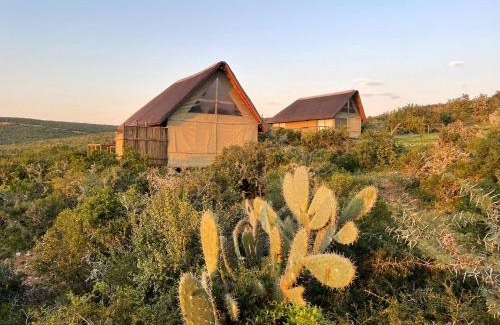 Nelson Mandela Bay Cabine | Harmony Luxury Tents & Safari