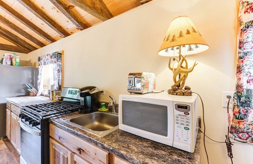 Harrington Cabine | Harrington Cabin w/ Grills - Near Beaches & Hiking