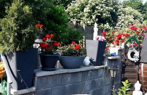 Barbis Appartement | Harzer Bergblick *ALL INCLUSIVE* 120sqm up to 10 pers