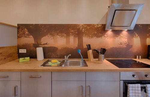 Mandelholz Appartement | Haus 2 Ferienwohnung 1