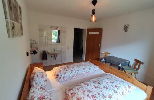 Wenns Appartement | Haus AlpenHahn