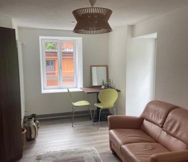 Wassen Appartement | Haus Alpenhof