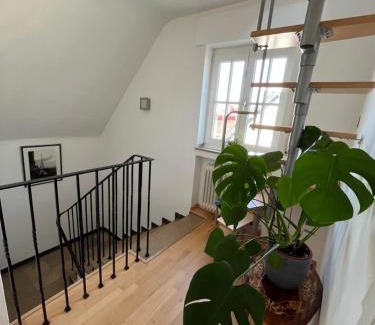 Erkrath Appartement | Haus am Mühlenstein in der Nähe vom Unterbacher See