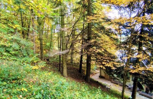 Bad Sooden-Allendorf Appartement | Haus am Wald Radlerrast