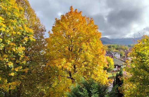 Bad Sooden-Allendorf Appartement | Haus am Wald Radlerrast
