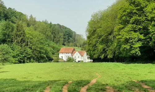 Waldeck Appartement | Haus an der Werbe Studio Kl osterblick