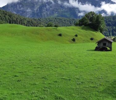Bizau Appartement | Haus Annelies