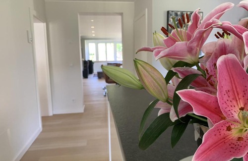 Irrel Appartement | Haus Astrid