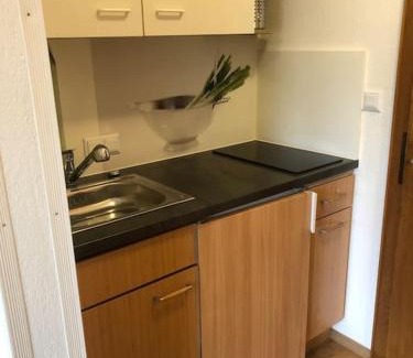 Obsteig Appartement | Haus Bergfriede 4
