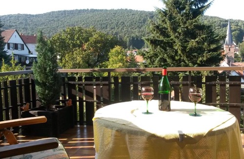 Dorrenbach Appartement | Haus Dorfblick