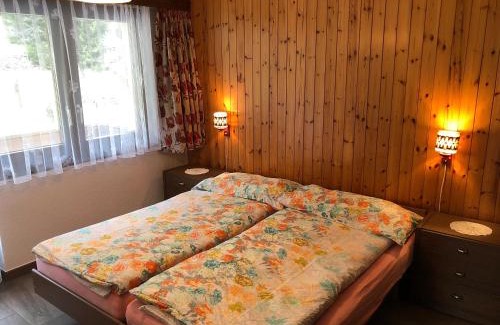 Saas Grund Appartement | Haus Erle