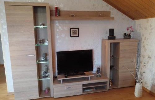 Mainz-Bingen Appartement | Haus Heidrun