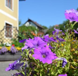 Emmersdorf an der Donau Appartement | Haus Lindenhofer