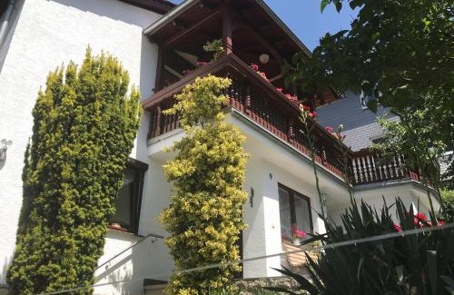 Lutter Appartement | Haus Martina Panoramablick