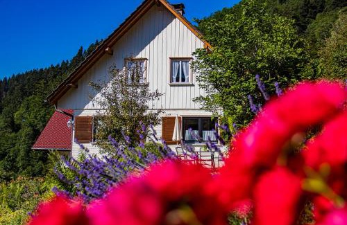 Oppenau Appartement | Haus Niedermättle