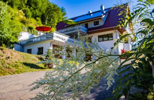 Oppenau Appartement | Haus Niedermättle