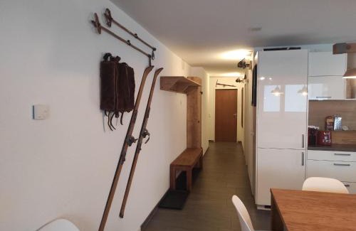 Davos-Platz Appartement | Haus Rhätikon 1. OG, links