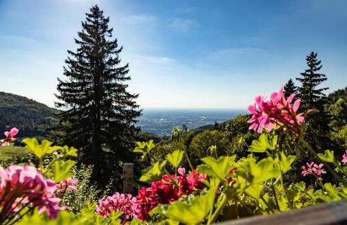 Sasbachwalden Appartement | Haus Schauinsland
