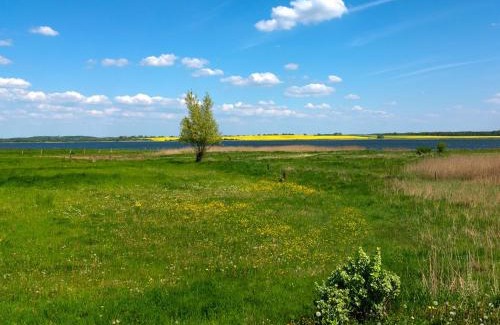 Insel Poel Appartement | Haus Sonnenschein Sommerwiese