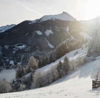 Bad Gastein Appartement | Haus Talblick