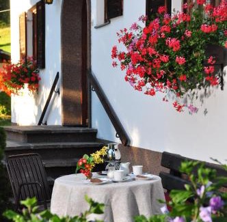 Obsteig Appartement | Haus Thurner