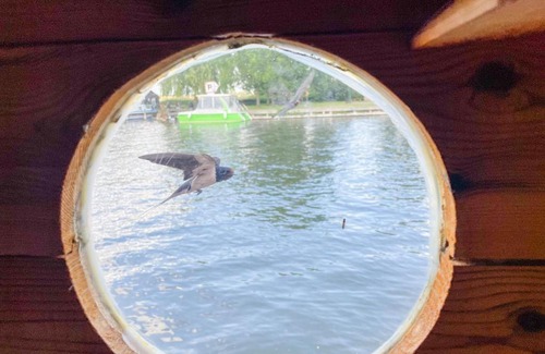 Dargun Location De Bateaux | Hausfloßvermietung auf der Peene am Kummerower See in Mecklenburg Vorpommern 15 PS