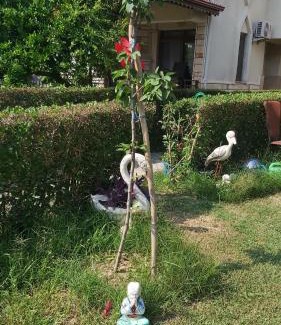 Evrenseki Appartement | Havuzlu Bahçeli Müstakil Villa