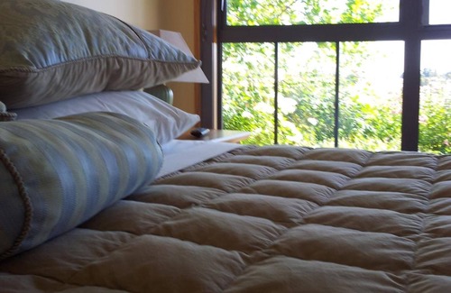 Alexandra Maison | Hawkdun Rise Vineyard & Accommodation