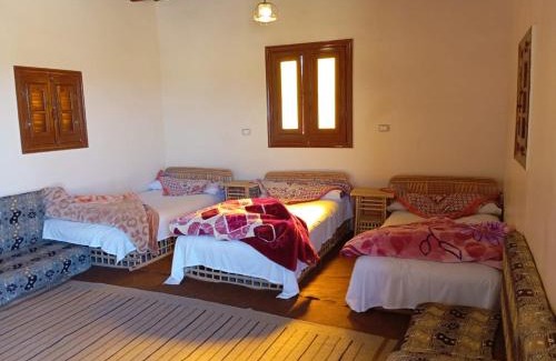 Siwa Autre | Hayaat siwa hot spring