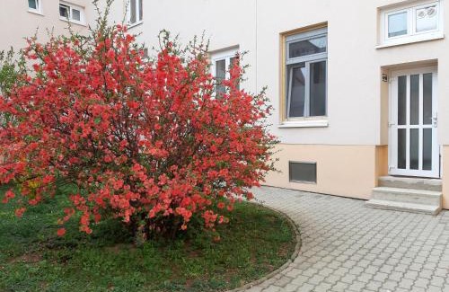 Eisenstadt Appartement | Haydnsuite
