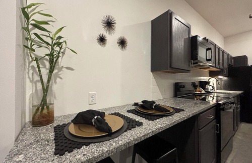 Downtown Memphis Appartement | Heart of Downtown, Cozy Getaway!