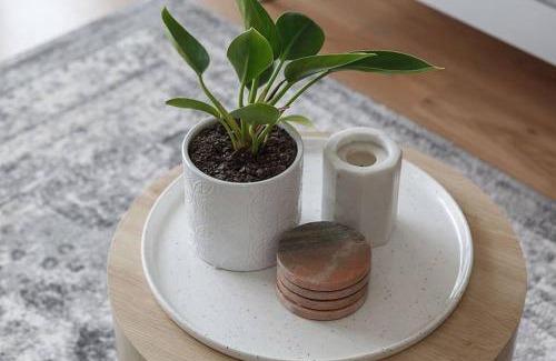 Ormond Appartement | Heart of Ormond Apartment by Ready Set Host