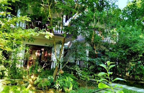 Rekawa Hôtel | Heaven in Satinwoods