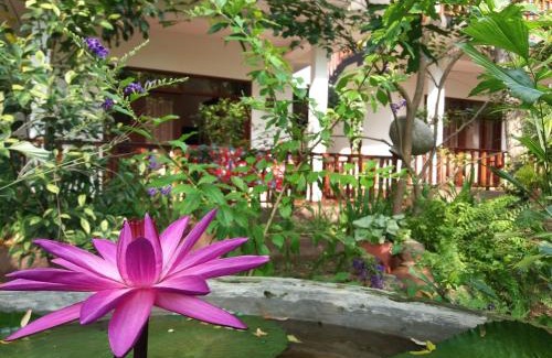 Rekawa Hôtel | Heaven in Satinwoods