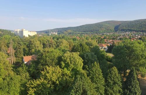 Hamor Appartement | Hegyalja Apartman
