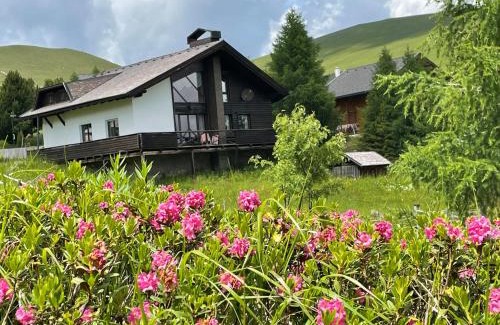Falkert Chalet De Ski | Heidi-Alm Lodge