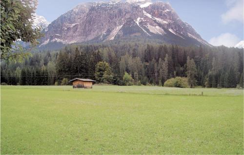 Ehrwald Appartement | Helle Ferienwohnung In Ehrwald