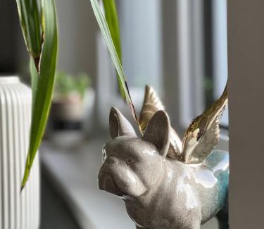 Linz Appartement | Helle Wohnung in Top Lage!