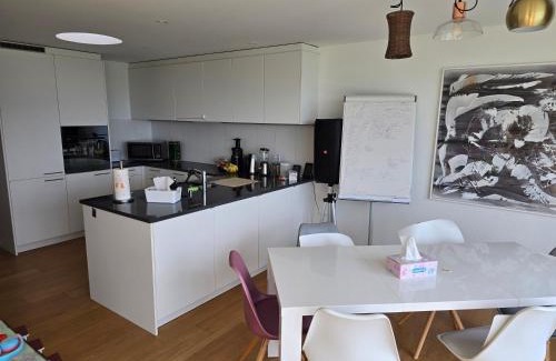 Meilen District Maison | Helles WG Zimmer 1von4 in fantastischer Attikawohnung