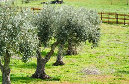 Grandola Maison | Herdade das Fontainhas